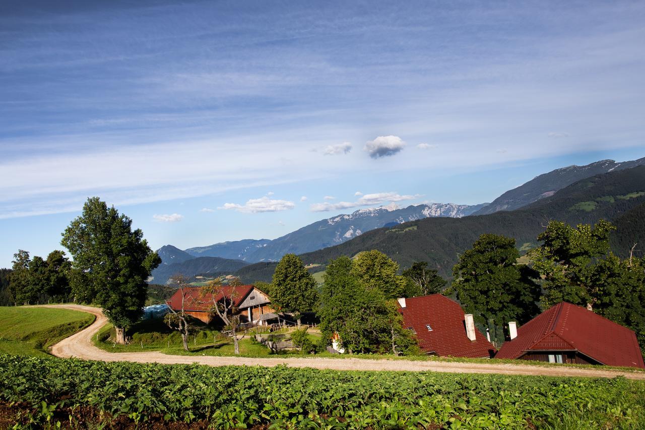 Farmstay&Glamping Visocnik Ljubno ภายนอก รูปภาพ