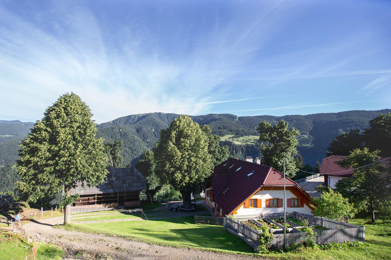 Farmstay&Glamping Visocnik Ljubno ภายนอก รูปภาพ