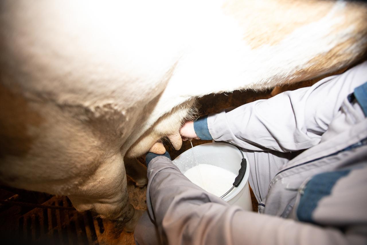 Farmstay&Glamping Visocnik Ljubno ภายนอก รูปภาพ