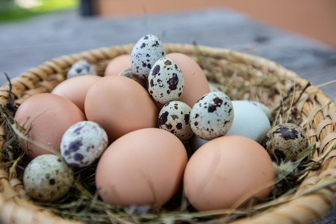 Farmstay&Glamping Visocnik Ljubno ภายนอก รูปภาพ