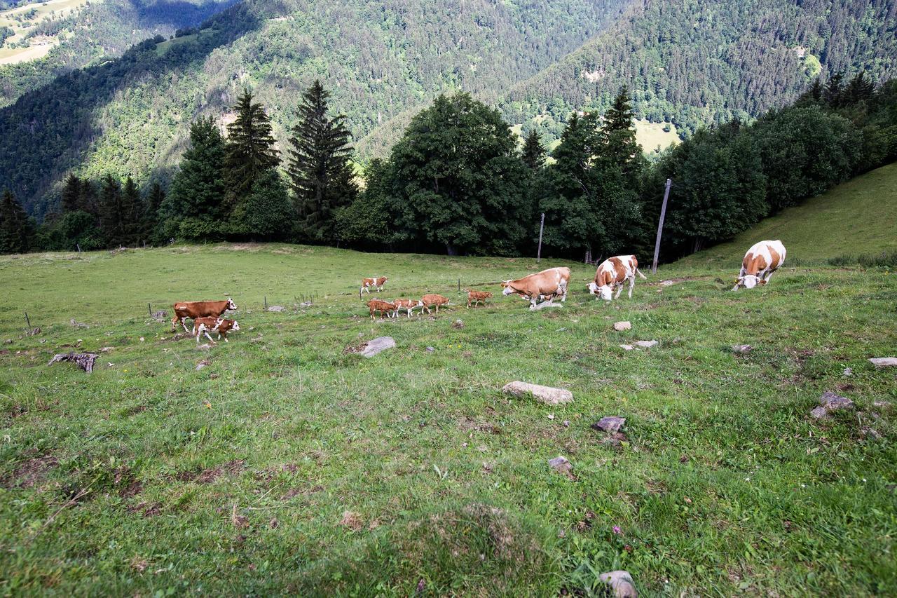 Farmstay&Glamping Visocnik Ljubno ภายนอก รูปภาพ