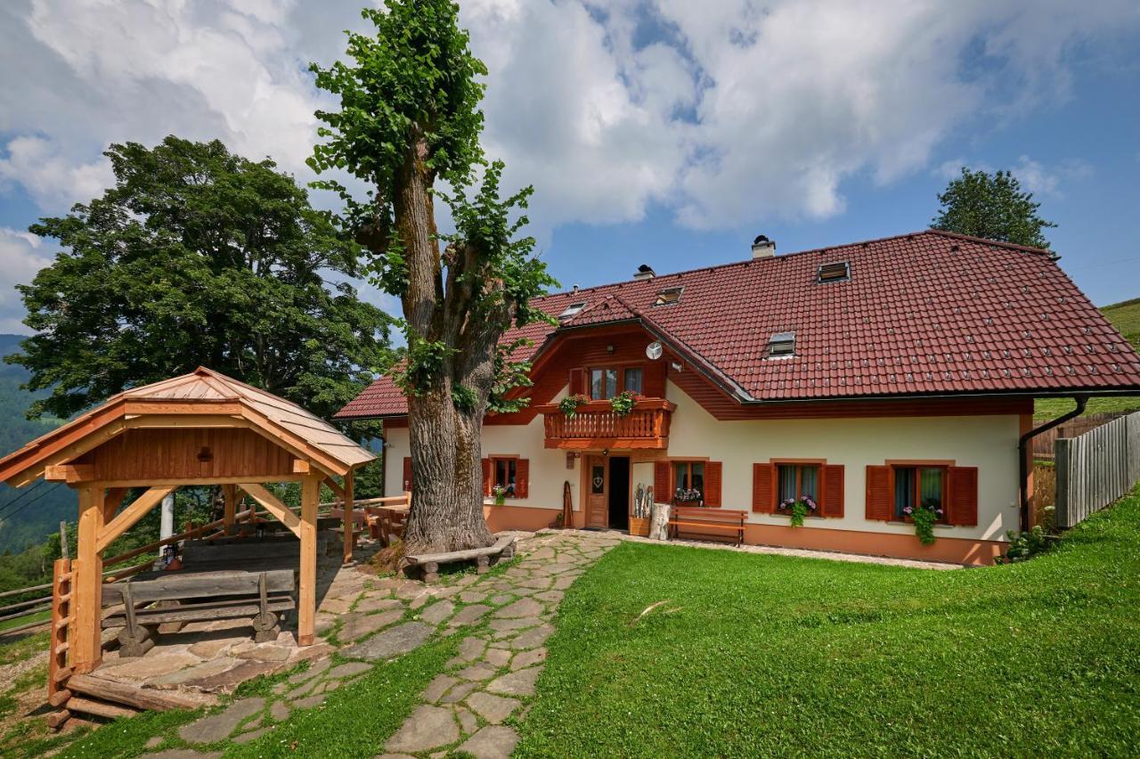 Farmstay&Glamping Visocnik Ljubno ภายนอก รูปภาพ